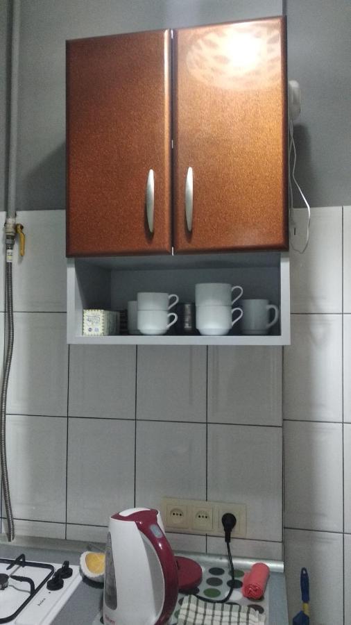 Apartment Anna Lviv Kültér fotó